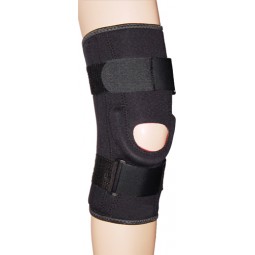 Prostyle Stabilized Knee...