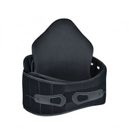 Baktec Premium Back Sup...