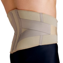 Blue Jay Lumbar Support Xl...