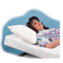 Paper Pillow Cases Bx-100
